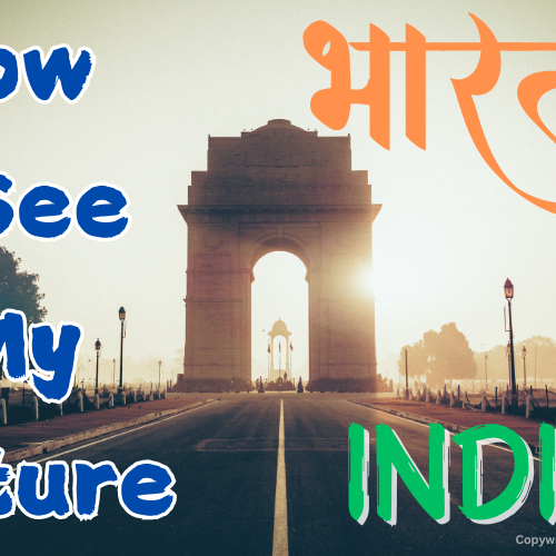 How I see My Future India?